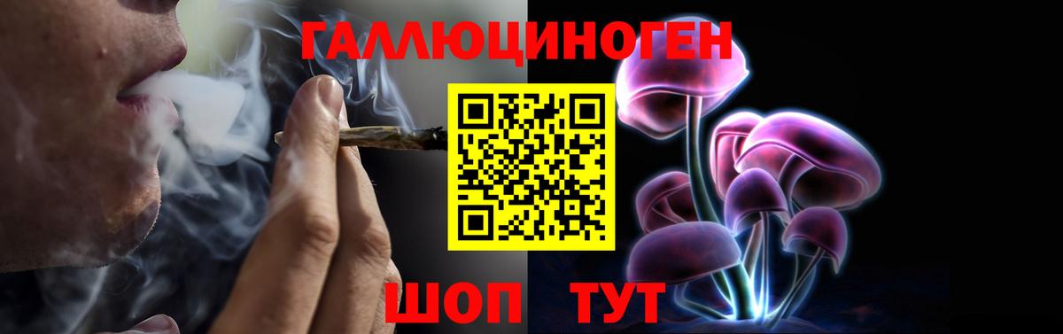 Абинск  Псилоцибиновые грибы Psilocybe  Псилоцибиновые грибы Magic Shrooms  Вход с VPN 
